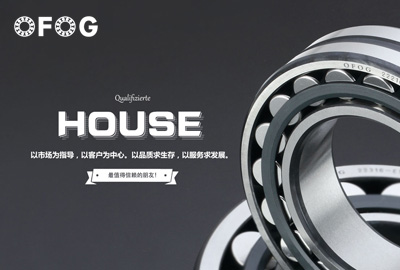 德國(guó)OFOG軸承品牌網(wǎng)站案例